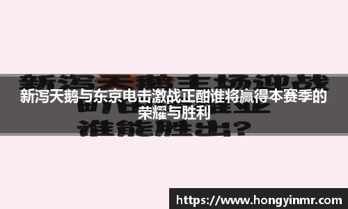 新泻天鹅与东京电击激战正酣谁将赢得本赛季的荣耀与胜利